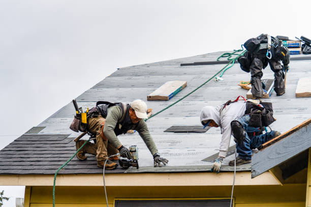 Professional Roofing technician working in North Sutton, NH